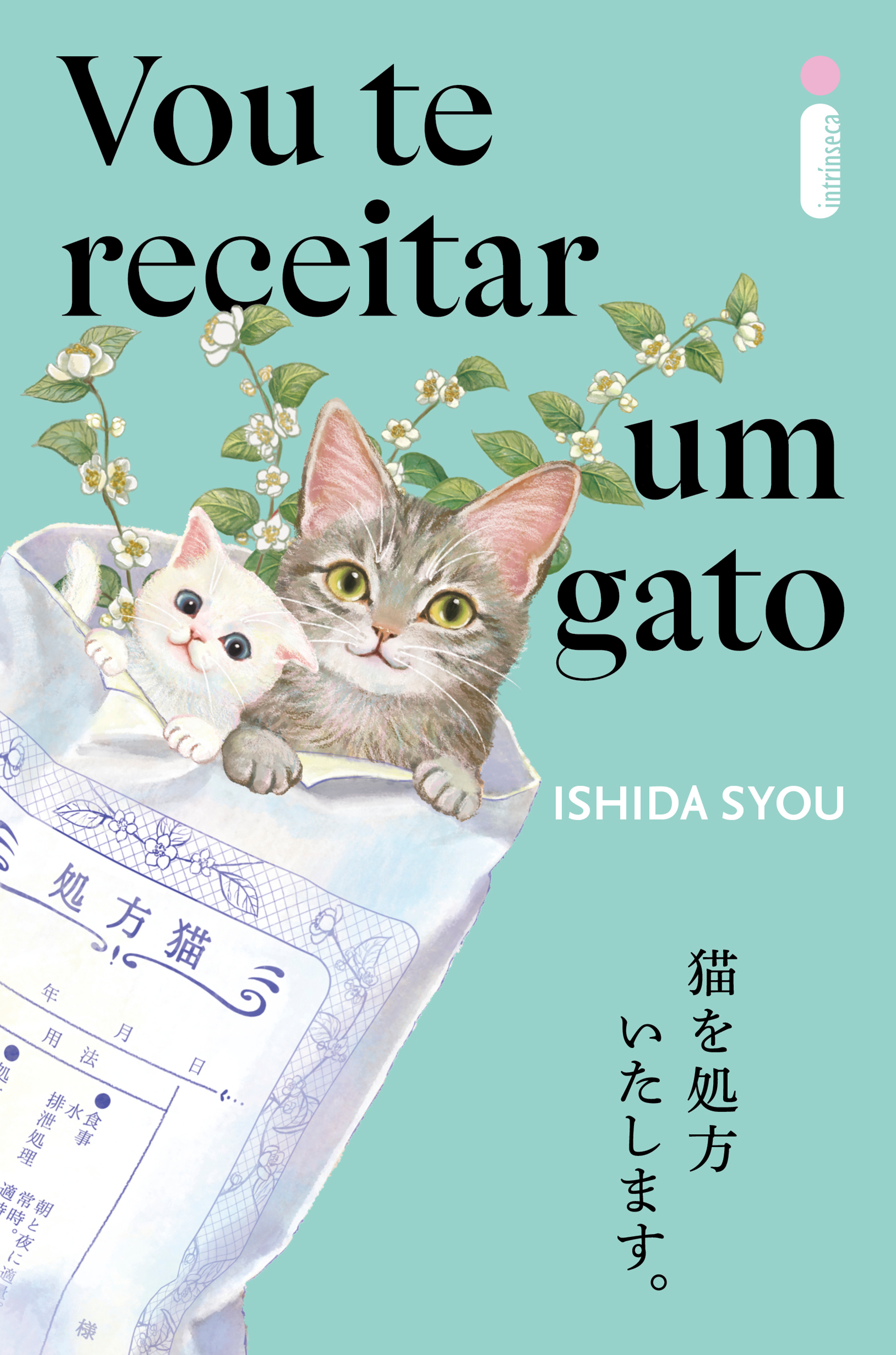 Vou te receitar um gato | obra de literatura japonesa sobre o poder do amor dos animais