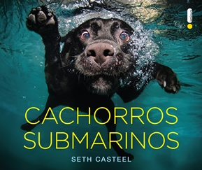 Cachorros submarinos